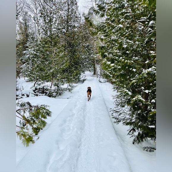 Meet your Posher, Irene - Picture 2 of 2